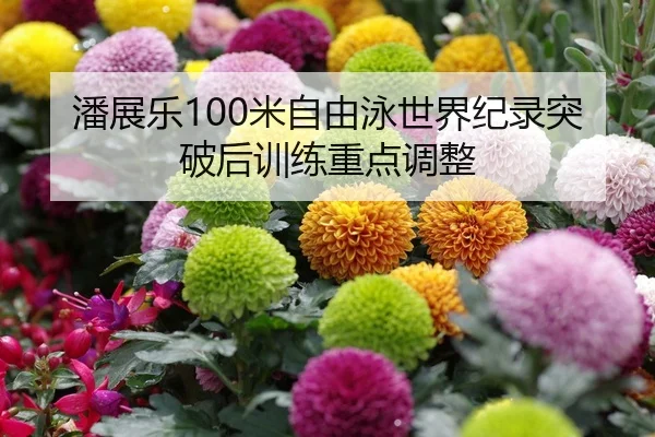 潘展乐100米自由泳世界纪录突破后训练重点调整