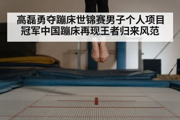 高磊勇夺蹦床世锦赛男子个人项目冠军中国蹦床再现王者归来风范